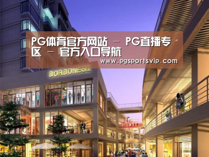 案例展示一(图1)