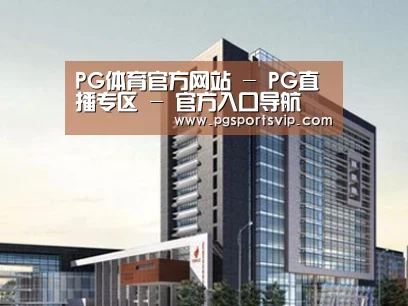 案例展示七